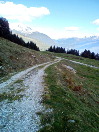 O263-ldp001-00-p01-161012-MCF-133222