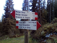 O263-ldp002-00-d1-161012-MCF-131445