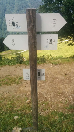 O264-ldp002-00-d02-170812-GC