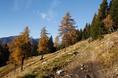 O264-161103-TD-6878