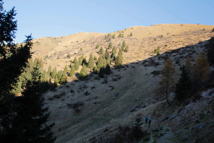 O264-161103-TD-6881