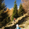O264-161103-TD-6921 (28 visite) O264-161103-TD-6921