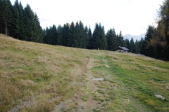 O264-161103-td-7064