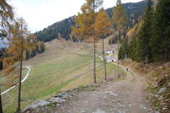 O264-161103-td-7069