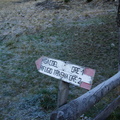 O264-ldp003-00-d1-161103-TD-6875