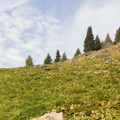 O264A-170923-CM-7221