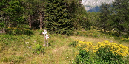 O265-ldp009-00-p01-250718-LM