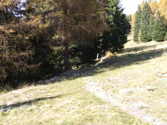 O265-ldp010-00-p01-081012-AD