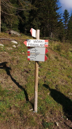 O265-ldp17-00-d01-180915-AD