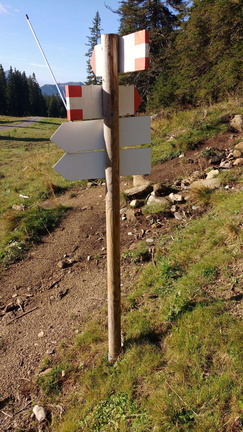 O265-ldp17-00-d02-180915-AD