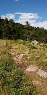 O265-vicino-Malga-Vigo-180725-LM-