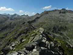 O267-110823-td-82