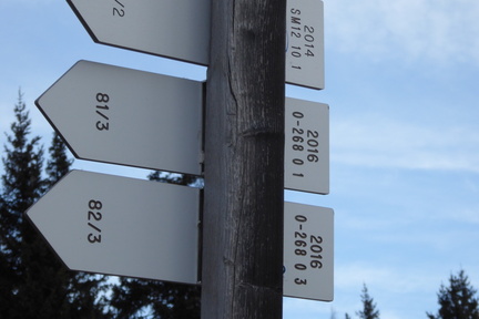 O268-ldp000-00-d02-180130-IC