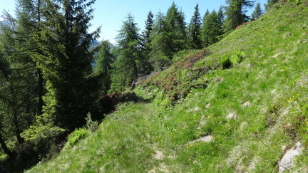 O278-ED-170617-05536