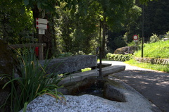 O2SVB-ldp010-00-p01-td-180803-0201