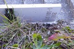 O300-ldp005-00-d02-171115-IC