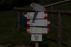 O300-ldp016-00-D02-td-180803-0179