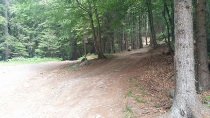 O300-ldp023-00-p01-170720-GC