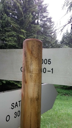 O300-ldp029-00-d02-170725-RF