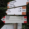 O300-ldp033-00-d01-250912-RF
