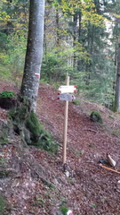 O300-ldp034-01-d1-141130-DR