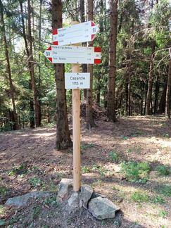 O300-ldp035-00-d2-220701-DR-