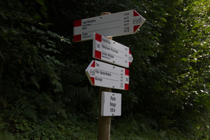 O300-ldp037-03-D01-180809-td18