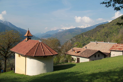 O300-Cerana-SStefano-140426-td