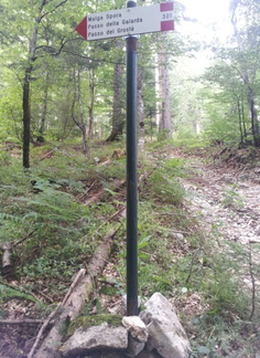 O301-ldp003-01-d3-150812-ED