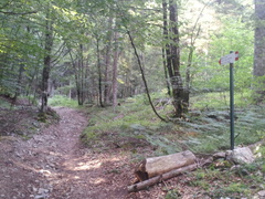 O301-ldp003-01-p1-150812-ED