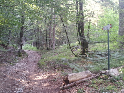 O301-ldp003-01-p1-150812-ED