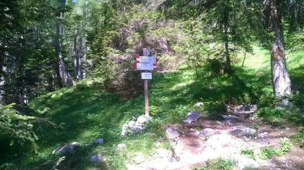 O301-ldp005-00-p2-MCF-160628