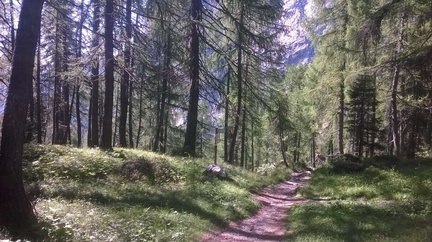 O301-ldp006-00-p1-MCF-160628