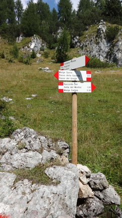 O301-ldp008-00-p1-150812-ED