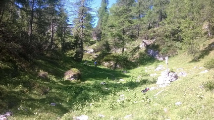 O301-ldp008-00-p1-MCF-160628