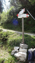 O301-ldp009-00-p1-150812-ED