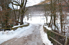 O302-ldp003-00-p01-180111-ED