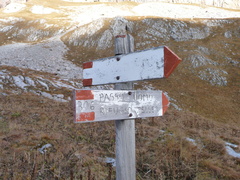 O306-ldp001-80-d1-161022-CR-1210519