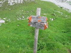 O306-ldp005-00-d2-140717-LB-7568