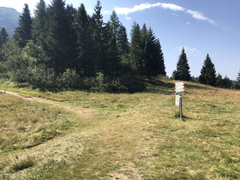 O307-ldp015-10-p02-220720-ED