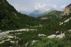 O307-160724-td-0048