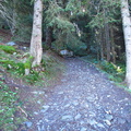 IMG-0037