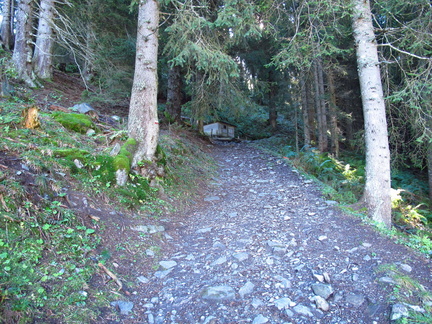 IMG-0037