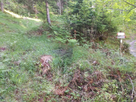 O308-ldp003-00-p01-181025-AF