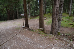 O308-ldp004-00-p02-190828-ED