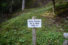 O308-ldp004-03-d01-190828-ED