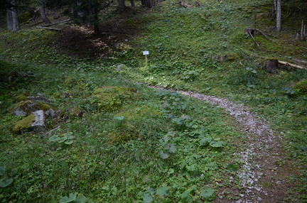 O308-ldp004-04-p01-190828-ED