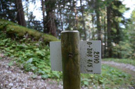 O308-ldp004-05-d02-190828-ED