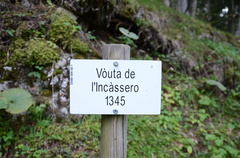 O308-ldp004-06-d01-190828-ED