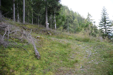 O308-ldp004-09-p01-190828-ED